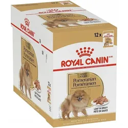 ROYAL CANIN Pomeranian 12x85g Nassfutter für Hunde