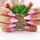 NeoNail Professional SPRING/ SUMMER KOLLEKTION transparent Farblack 7 ml
