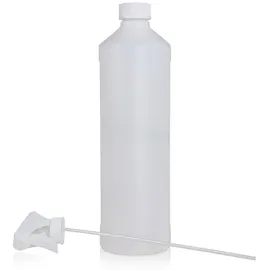 Höfer Chemie 1 L Flasche + Sprühkopf