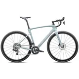 Specialized Roubaix Sl8 Expert Rival Etap Axs 2025 Rennrad - Violet Pearl / Silver Dust - 54