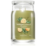 Yankee Candle Sage & Citrus Duftkerze 567 g