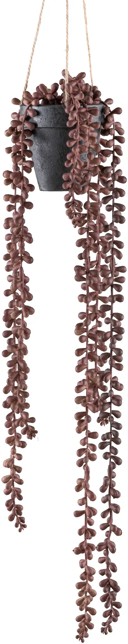 Kunstranke CREATIV GREEN "Hängepflanze Sedum", rot (rotbraun), H:60cm, Kunststoff, Kunstpflanzen, mit rotbrauner Farbgebung