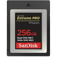 SanDisk Extreme Pro - Flash-Speicherkarte - 256 GB CFexpress