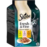 Sheba Fresh & Fine Huhn, Lachs & Truthahn in Sauce 108 x 50 g