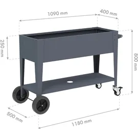 Tchibo Mobila Plus 118 x 50 x 80 cm Anthrazit