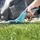 Gardena Grasschere Comfort