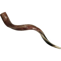 Schofar Shofar Kosher Yemenite Horn Instrument Natural Shoffar Shophar schofar Kudu Antelope Judaica koscher Hupe
