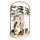 Atmosphera Créateur d'intérieur Glaskuppel mit Holzdeko, 12,5 cm