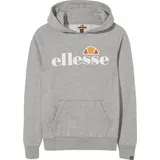 Ellesse Mädchen Pullover, ISOBEL Grau, (140)