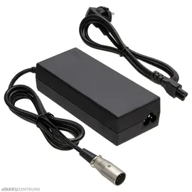 TranzX Ladegerät 24V CH-02 - 29,4V/2,0A (ABCH4LB000010)