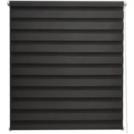 Sol Royal Doppelrollo SolDecor DL2 45 x 150 cm schwarz