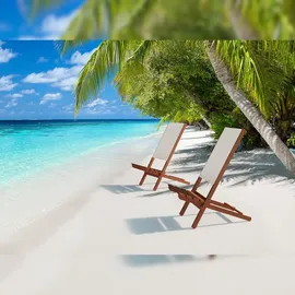 Erst-Holz Wikingerstuhl-Set Lagerfeuerstuhl Anglerstuhl Strandstuhl Partystuhl Stofffarbe weiß V-10-361