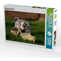 Calvendo Alle meine Gänschen (Puzzle)