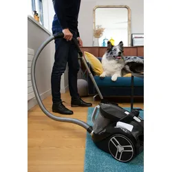 Rowenta Compact Power RO4873EA Staubsauger 2,5 l Zylinder-Vakuum Trocken 550 W Beutellos