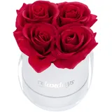Relaxdays Rosenbox rund, 4 Rosen, stabile Flowerbox weiß, lange Haltbarkeit, Geschenkidee, dekorative Blumenbox, rot