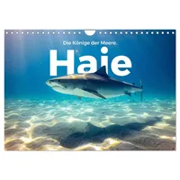Calvendo Haie - Könige der Meere. (Wandkalender 2026 DIN