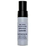 Brötje Farbdose mit Pinsel 12ml, RAL 9016 Verkehrsweiß 959551