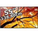 Sharp MultiSync M552 55" schwarz