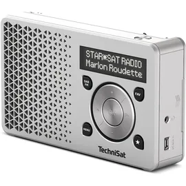 TechniSat DigitRadio 1 silber
