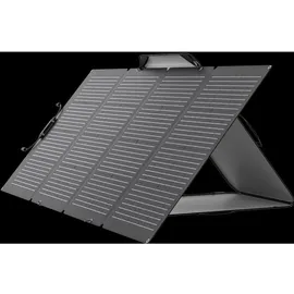 EcoFlow 220W