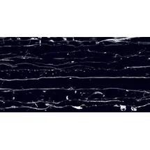 Euro Stone Bodenfliese Feinsteinzeug Prothro Black 60 x 120 cm