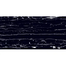 Euro Stone Bodenfliese Feinsteinzeug Prothro Black 60 x 120 cm