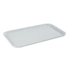 APS Tablett grau rechteckig 53,0 x 32,5 cm