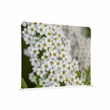 Showdown Displays Showdown Raumteiler Basic - 150-150 Doppel Weiße Blume - Silberner Rahmen