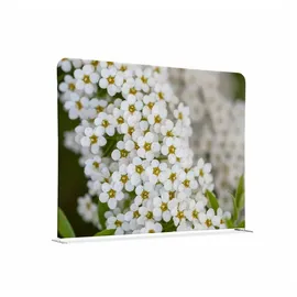 Showdown Displays Showdown Raumteiler Basic - 150-150 Doppel Weiße Blume - Silberner Rahmen