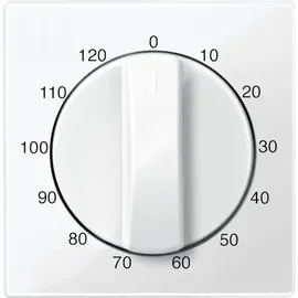 Merten Zentralplatte pws/gl 567519