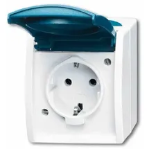 Busch-Jaeger Schuko-Steckdose 1-fach grau/blau-grün 2 St.