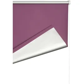 K-HOME Klemmfix-Minirollo 105 x 150 cm Verdunkelung brombeer