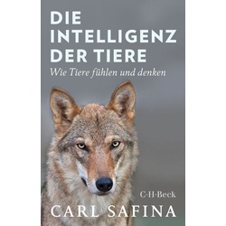 Die Intelligenz der Tiere