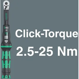 WERA Bicycle Set Torque 1 16-tlg. 05004180001