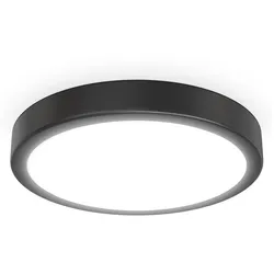 LED Deckenleuchte, schwarz, 1xLED/18W