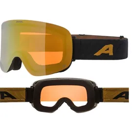 Alpina Penken Q Skibrille-Schwarz-One Size