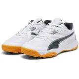 Puma Solarflash Jr Ii Indoor Court Shoe, White Shadow Gray Gum, 28 EU