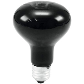 OMNILUX UV-Lampe R80 75W E27