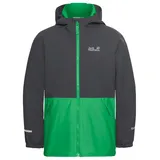 Jack Wolfskin Kinder Snow Days Jacke (Größe 164, gruen)