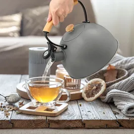 Briebe Nordic 2,3 l Grau