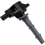 BorgWarner (Beru) Zündspule