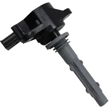 BorgWarner (Beru) Zündspule
