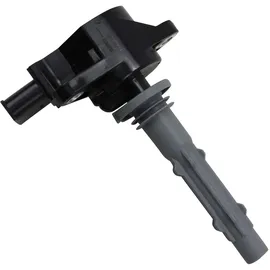 BorgWarner (Beru) Zündspule