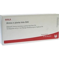 Arnica e planta tota D20 Ampullen