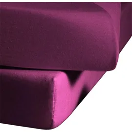 FLEURESSE Comfort 001117 Jersey 200 x 200 - 200 x 220 cm himbeere