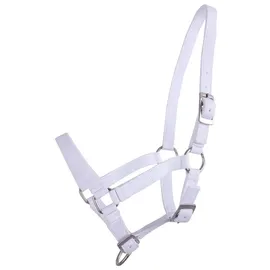 QHP Fohlen-Halfter 04 babyblau