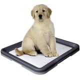 Nobby Doggy Trainer Pads 24 St., M - 62,5 x 48 cm