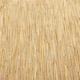 casa.pro Schilfzaun 150 x 300 cm Beige