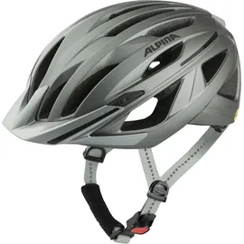 Alpina Gent MIPS 58-63 cm dark/silver matt 2021