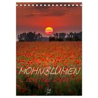 Calvendo Mohnblumen - kraftvoll und zart (Tischkalender 2026 DIN